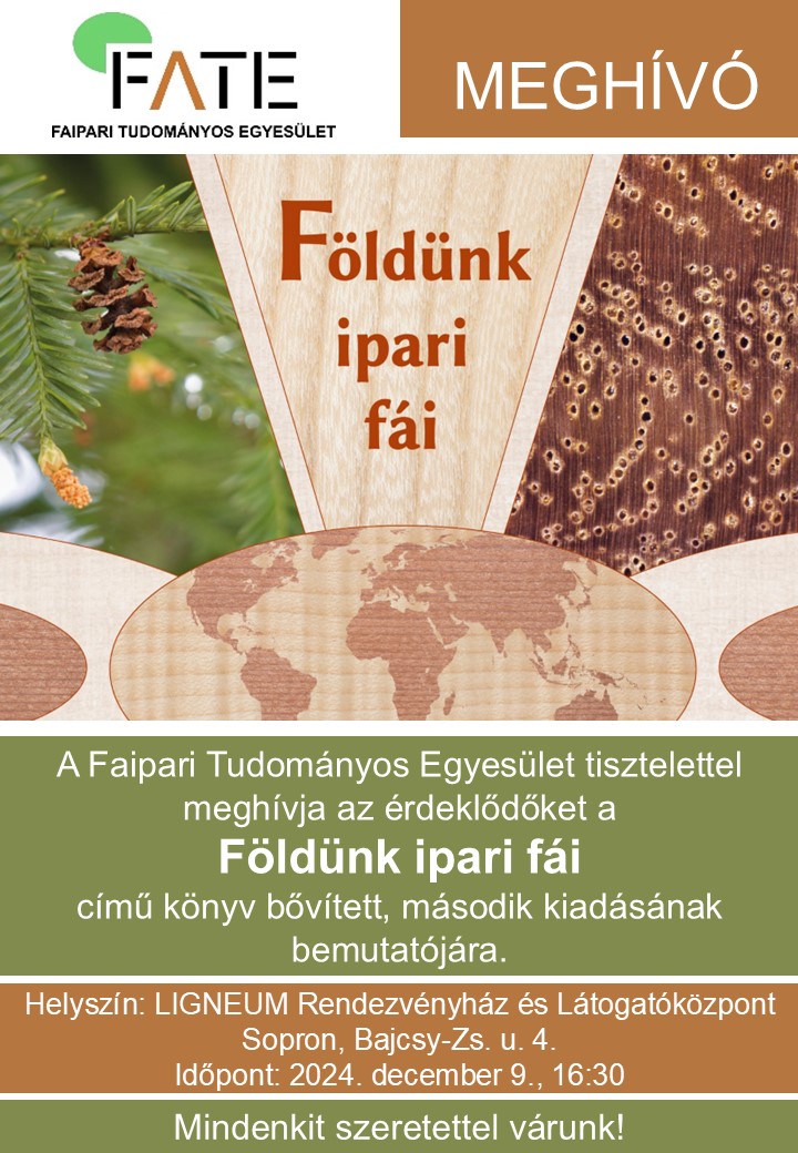 FIF bemutató meghívó